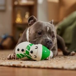 Frisco Holiday Snowman Latex Squeaky Dog Toy -Pet Supplies Discount Store 773870 PT3. AC SS1800 V1695044328