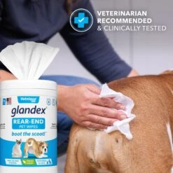 Vetnique Labs Glandex Wipes Rear End Anal Gland Cleansing & Deodorizing Hygienic Rear End Boot The Scoot Dog & Cat Wipes & Frisco Disposable Male Dog Wraps 15 Vetnique Labs Glandex Wipes Rear End Anal Gland Cleansing & Deodorizing Hygienic Rear End Boot The Scoot Dog & Cat Wipes & Frisco Disposable Male Dog Wraps -Pet Supplies Discount Store 826454 PT4. AC SS1800 V1682018155