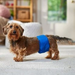 Frisco Washable Dog Diaper Male Wraps -Pet Supplies Discount Store 862854 PT3. AC SS1800 V1698950172