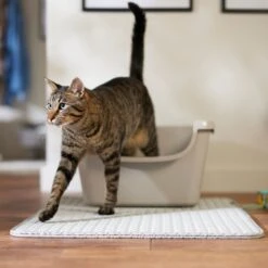 Frisco Cat Litter Trapping Mat -Pet Supplies Discount Store 862886 PT6. AC SS1800 V1697034710