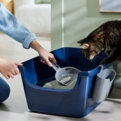 Frisco Open Top Cat Litter Box With Rim, Large & Frisco Plastic Litter Scooper With Caddy -Pet Supplies Discount Store 947526 PT5. AC SS1800 V1693924259