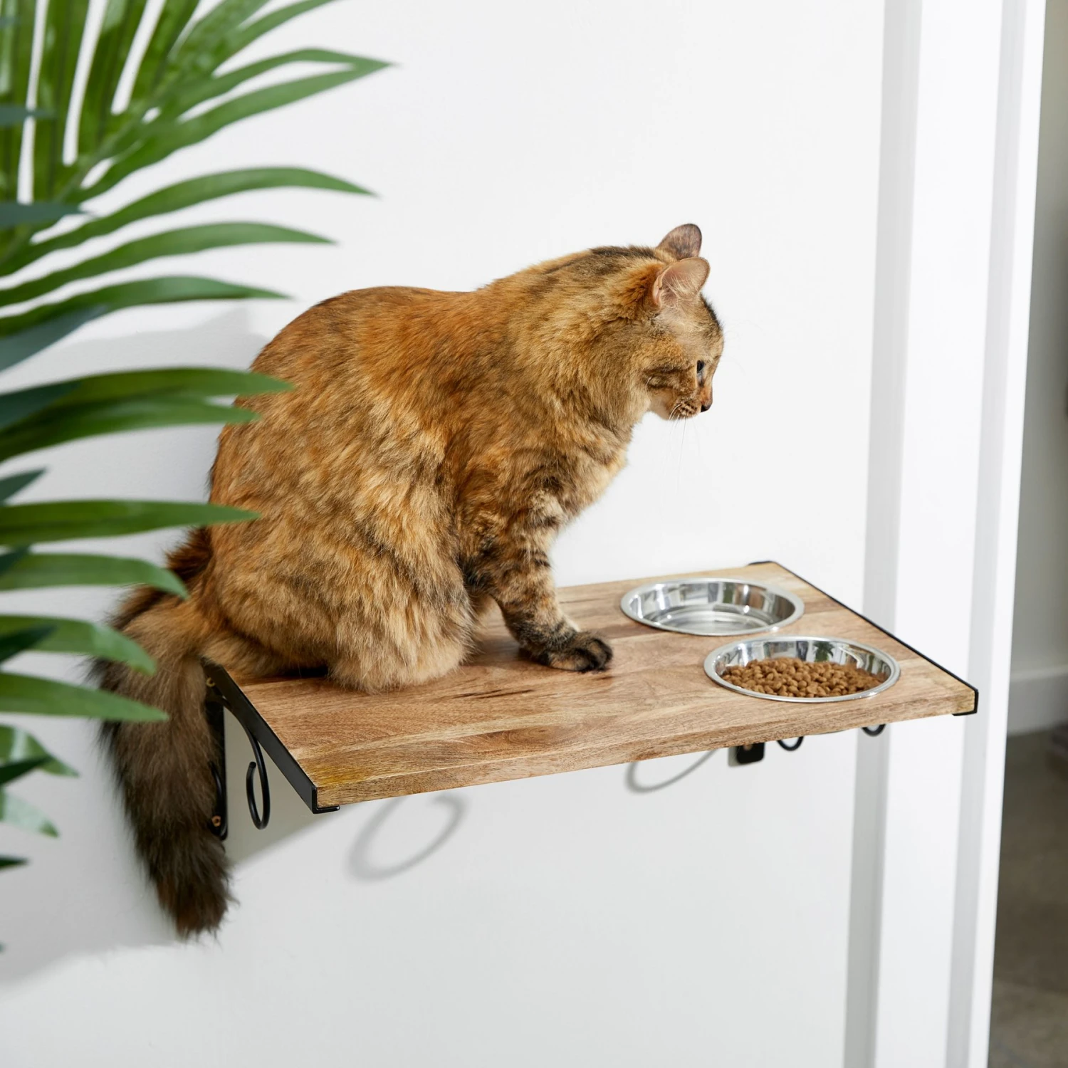 Coziwow Wall Mounted Shelves Set Cat Tree & Frisco Wooden Wall Mounted Stainless Steel Cat Feeding Station With Bowl 11 Coziwow Wall Mounted Shelves Set Cat Tree & Frisco Wooden Wall Mounted Stainless Steel Cat Feeding Station With Bowl - Image 9