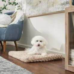 Frisco Double Door Furniture Style Dog Crate, Black & Frisco Swirl Dog Crate Mat -Pet Supplies Discount Store 947710 PT5. AC SS1800 V1693921603