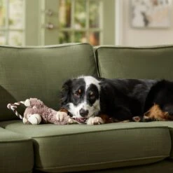 Frisco Monkey Plush With Rope Squeaky Dog Toy & Frisco Cow Plush With Inside Rope Squeaky Dog Toy -Pet Supplies Discount Store 961998 PT4. AC SS1800 V1694784009