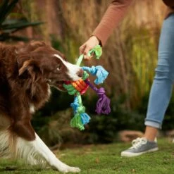 Frisco Fetch Colorful Ball Knot Rope Dog Toy & Frisco Monkey Plush With Rope Squeaky Dog Toy -Pet Supplies Discount Store 962014 PT2. AC SS1800 V1694784008