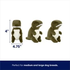 Frisco Volcano Hide & Seek Puzzle Plush Squeaky Dog Toy & Frisco Trash Can & Raccoons Hide & Seek Puzzle Plush Squeaky Dog Toy -Pet Supplies Discount Store 962054 PT3. AC SS1800 V1694783952