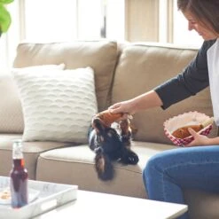 Frisco Corndog Interactive Plush Squeaky Dog Toy & Frisco Guacamole Hide & Seek Puzzle Plush Squeaky Dog Toy 14 Frisco Corndog Interactive Plush Squeaky Dog Toy & Frisco Guacamole Hide & Seek Puzzle Plush Squeaky Dog Toy -Pet Supplies Discount Store 962086 PT3. AC SS1800 V1694782979