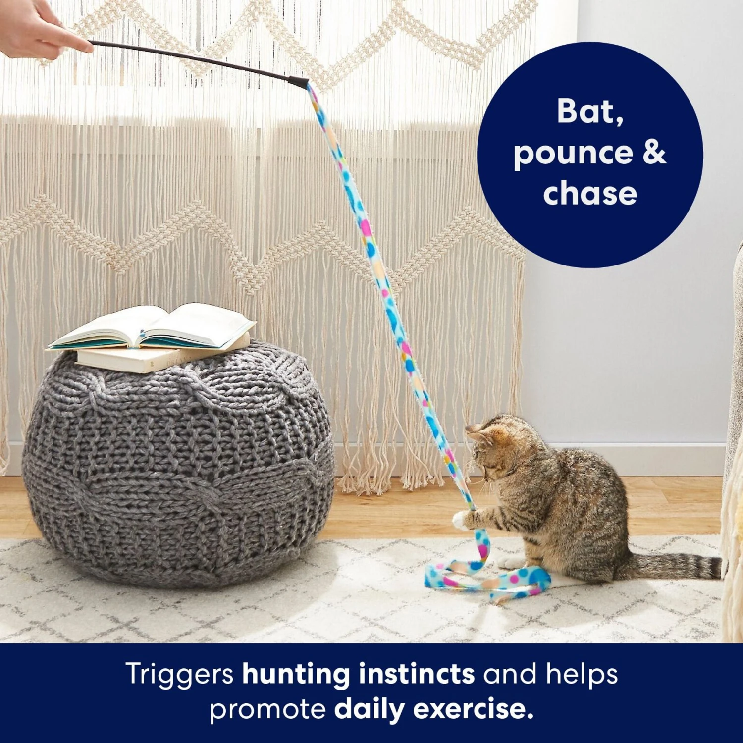 Frisco Fabric Teaser Wand Cat Toy & Frisco Bird With Feathers Teaser Wand Cat Toy With Catnip 6 Frisco Fabric Teaser Wand Cat Toy & Frisco Bird With Feathers Teaser Wand Cat Toy With Catnip - Image 4