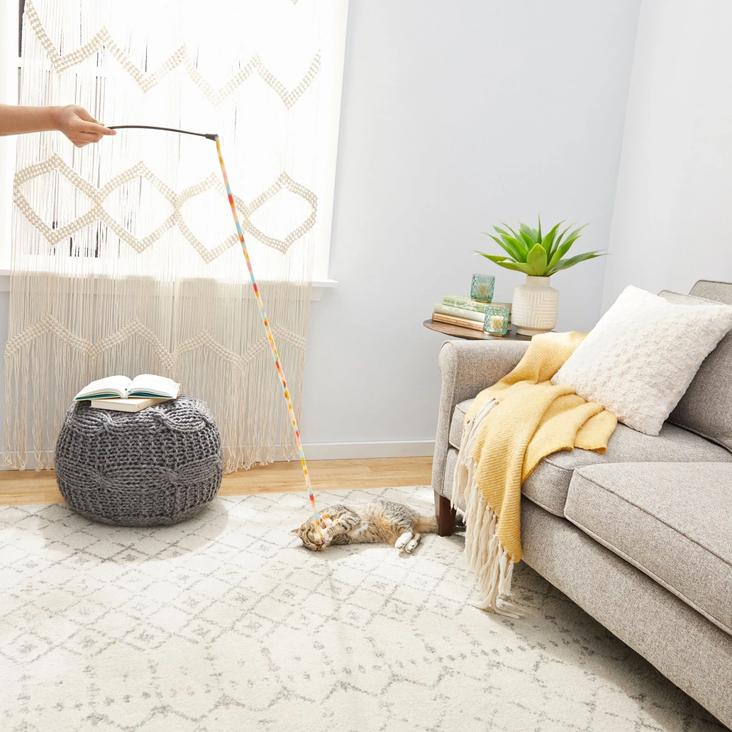 Frisco Fabric Teaser Wand Cat Toy & Frisco Bird With Feathers Teaser Wand Cat Toy With Catnip 7 Frisco Fabric Teaser Wand Cat Toy & Frisco Bird With Feathers Teaser Wand Cat Toy With Catnip - Image 5