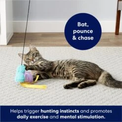 Frisco Fabric Teaser Wand Cat Toy & Frisco Bird With Feathers Teaser Wand Cat Toy With Catnip 19 Frisco Fabric Teaser Wand Cat Toy & Frisco Bird With Feathers Teaser Wand Cat Toy With Catnip -Pet Supplies Discount Store 962094 PT8. AC SS1800 V1694782976