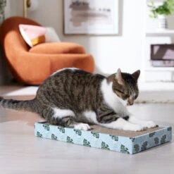 Frisco Double-Wide Cat Scratcher Toy With Catnip & Frisco Double-Wide Cat Scratcher Toy Refill With Catnip, 2 Count -Pet Supplies Discount Store 962110 PT3. AC SS1800 V1694782923