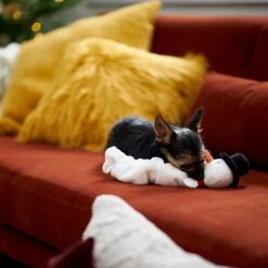 Frisco Holiday Reindeer Bungee Plush Squeaky Dog Toy & Frisco Holiday Snowman Bungee Plush Squeaky Dog Toy 19 Frisco Holiday Reindeer Bungee Plush Squeaky Dog Toy & Frisco Holiday Snowman Bungee Plush Squeaky Dog Toy -Pet Supplies Discount Store 986126 PT8. AC SS1800 V1698346274