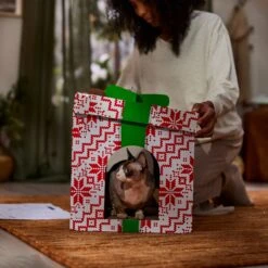 Frisco Holiday Gift Box Cardboard Cat House & Frisco Holiday Santa's Workshop Cardboard Cat House -Pet Supplies Discount Store 986158 PT4. AC SS1800 V1698257737