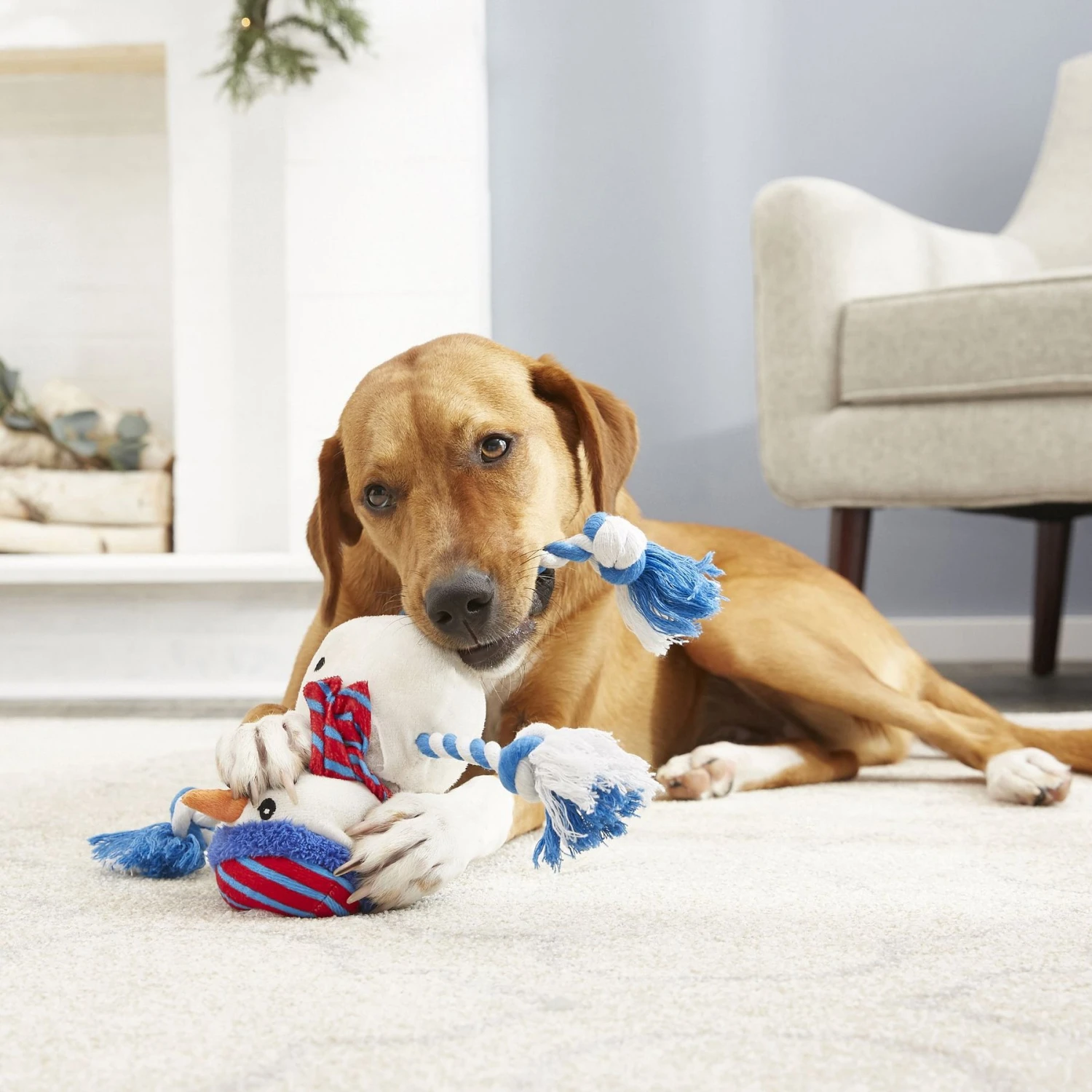 Frisco Holiday Snowman Plush With Rope Squeaky Dog Toy & Frisco Holiday Reindeer Plush With Rope Squeaky Dog Toy 7 Frisco Holiday Snowman Plush With Rope Squeaky Dog Toy & Frisco Holiday Reindeer Plush With Rope Squeaky Dog Toy - Image 5