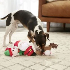 Frisco Holiday Santa's Helpers Plush Squeaky Dog Toy, 3 Count & Frisco Holiday Lights Plush With Rope Squeaky Dog Toy -Pet Supplies Discount Store 986206 PT4. AC SS1800 V1698257788