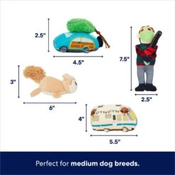 Frisco Holiday House Hide & Seek Puzzle Plush Squeaky Dog Toy & Frisco Holiday North Pole Mailbox Hide & Seek Puzzle Plush Squeaky Dog Toy -Pet Supplies Discount Store 986286 PT3. AC SS1800 V1698257799